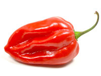 Frische Habanero Chilis rot (100g)