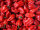 Frische Habanero Chilis rot (100g)