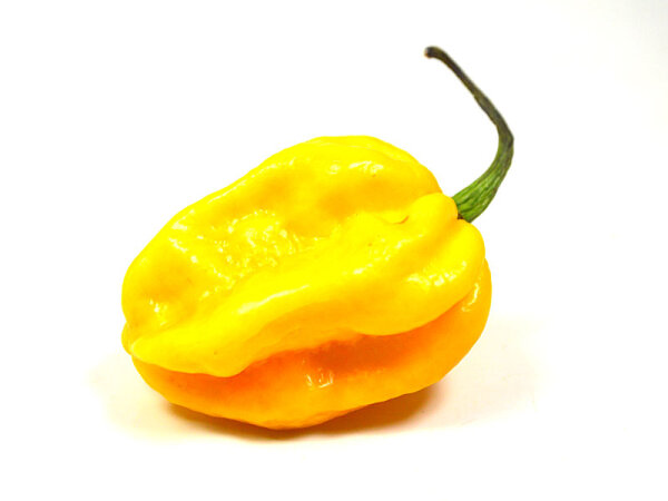 Frische Habanero Chilis gelb (100g)